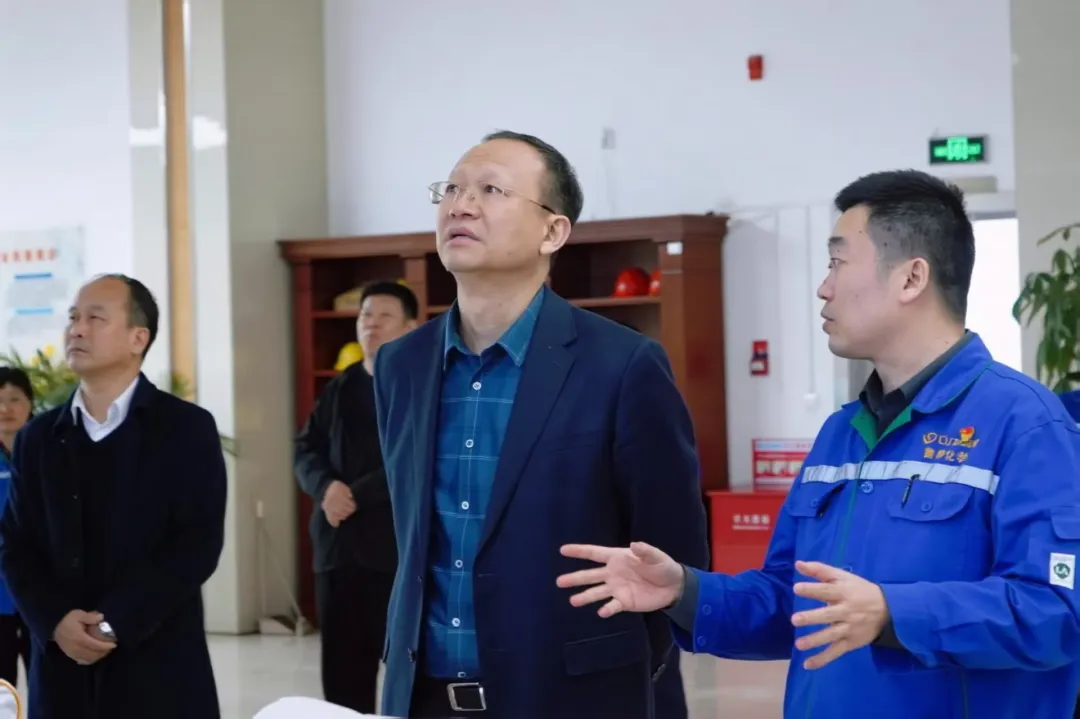 1771984948879827.jpg 1771984948879827.jpg